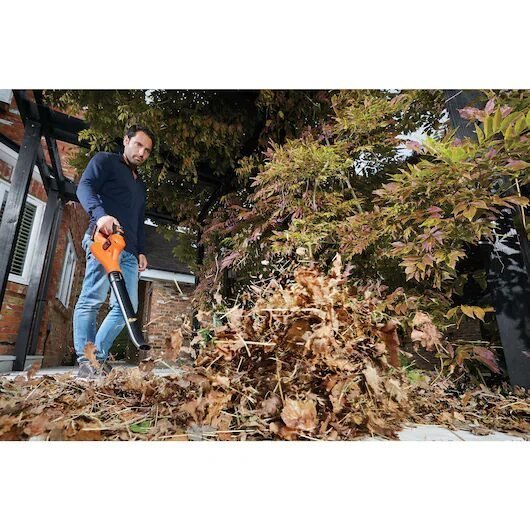 Hombre usando soplador de hojas en el jardín.