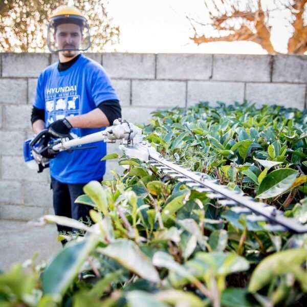 Persona recortando arbustos con cortasetos eléctrico