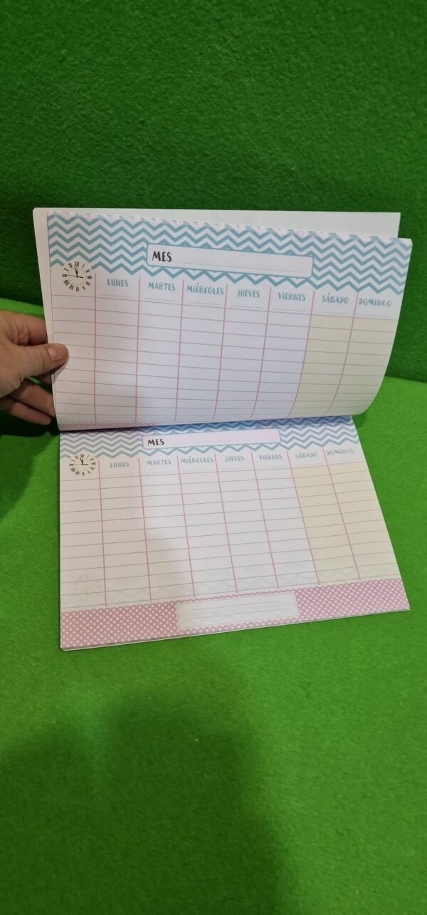 Organizador semanal GEU