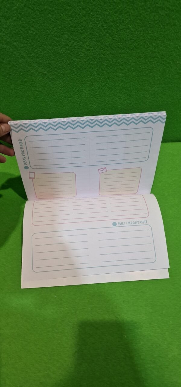 Organizador semanal GEU