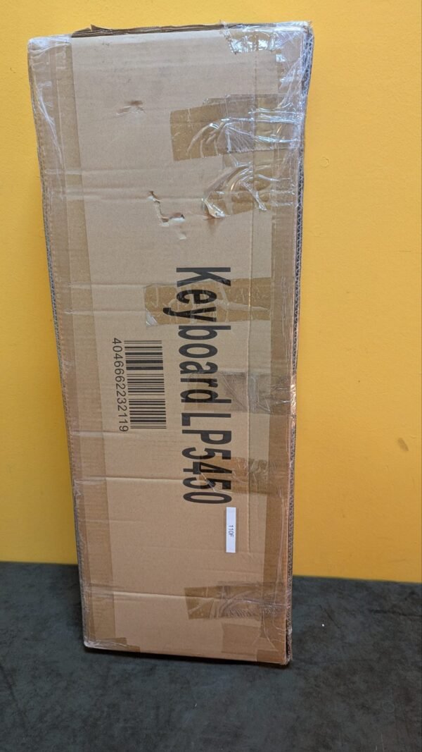 Teclado Keyboard LP5450 con micrófono