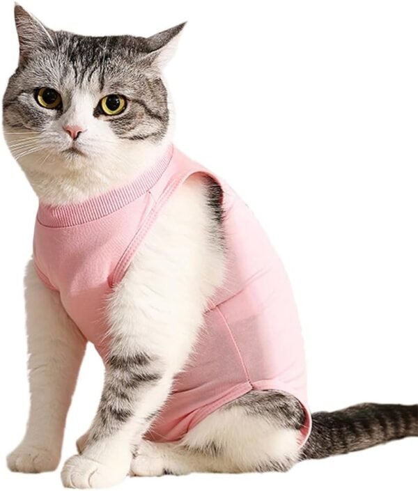 Gato con camiseta rosa mirando al frente.