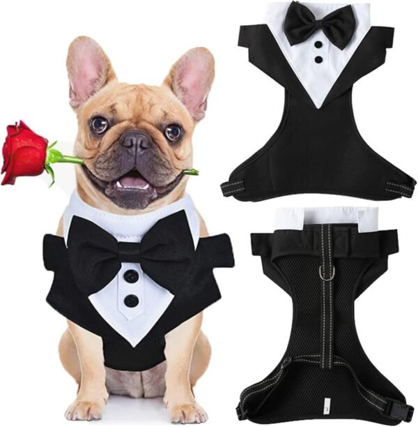 Disfraz para mascotas talla M