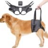 Arnés de Soporte Ajustable para las Patas Traseras