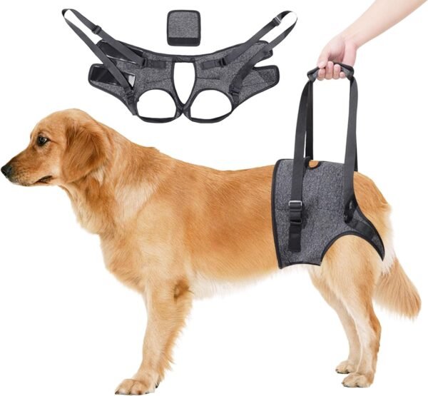 Arnés de Soporte Ajustable para las Patas Traseras