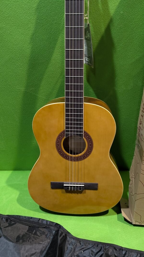 Guitarra clásica CS-10