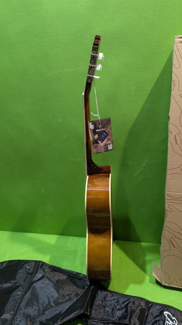 Guitarra clásica CS-10