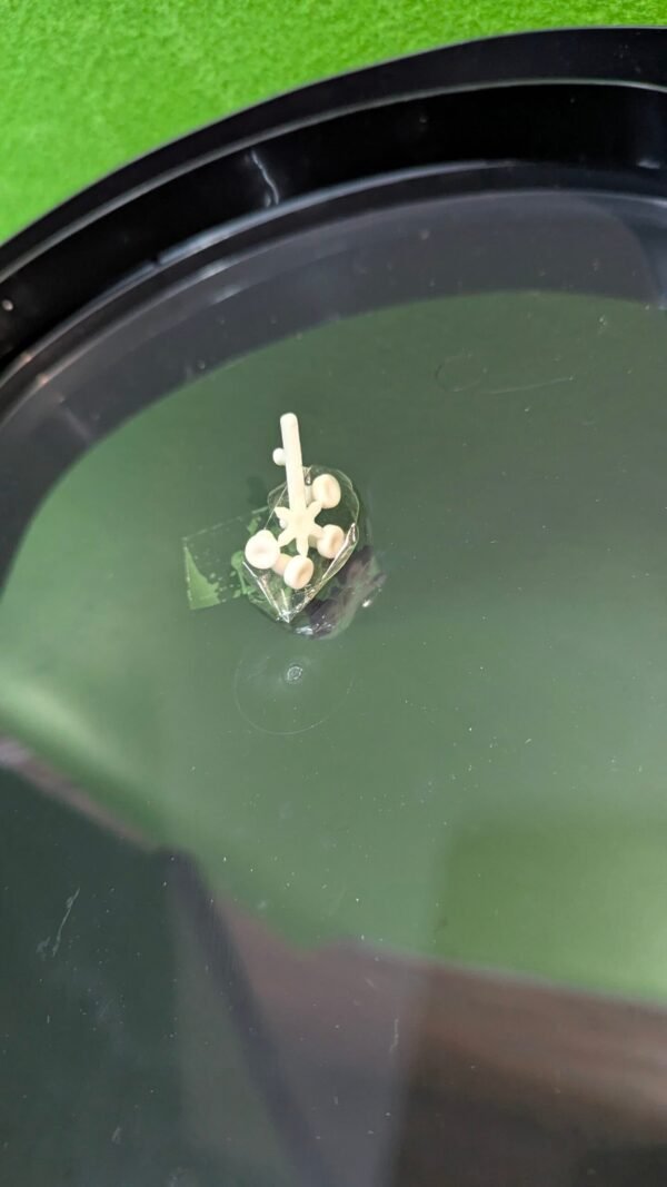 Rotho Cubo de basura Paso de 50 litros para separación de residuos con tapa y pedal