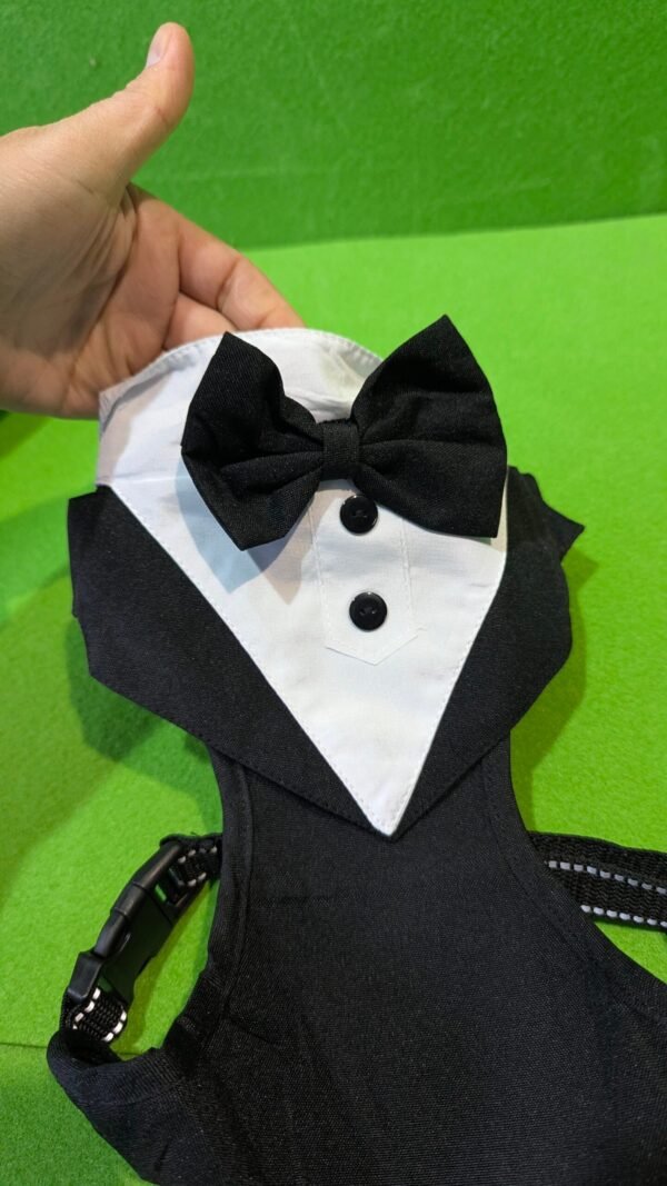 Disfraz para mascotas talla M