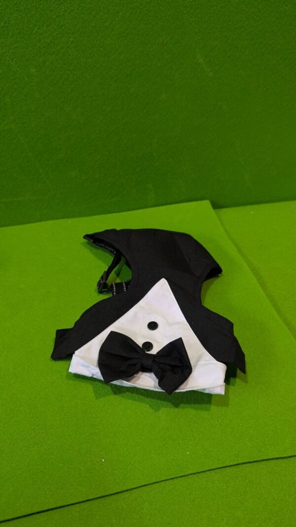 Disfraz para mascotas talla M