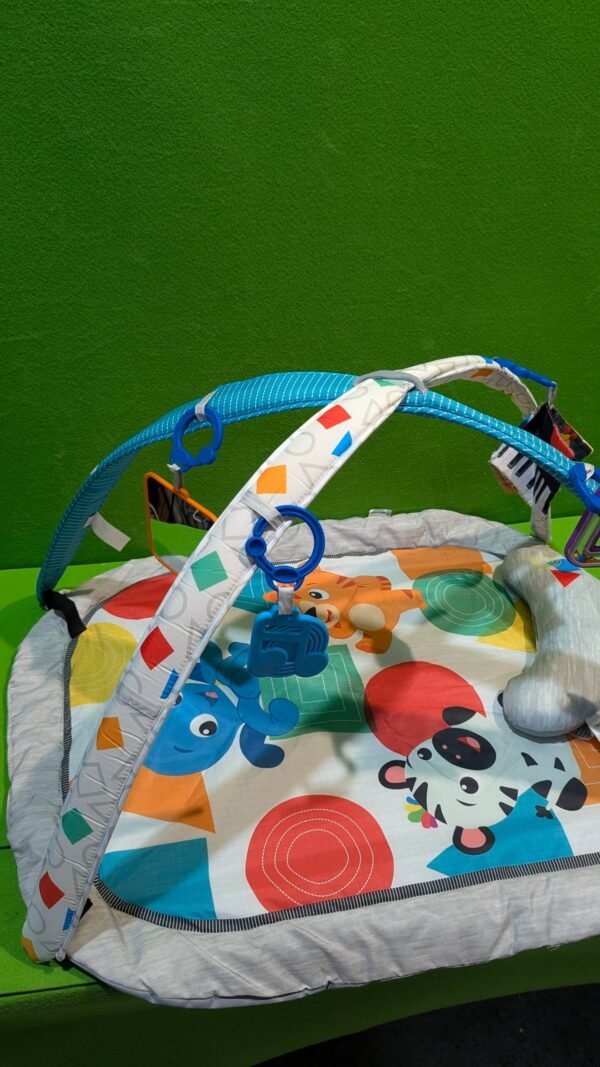 Baby Einstein, Gimansio de Actividades para bebés 