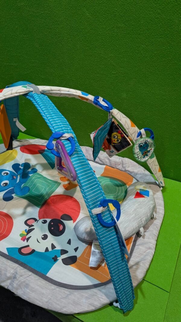 Baby Einstein, Gimansio de Actividades para bebés 