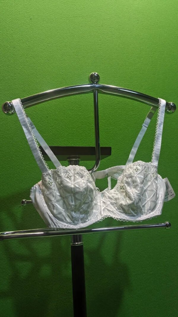 Sostén blanco con encaje sobre fondo verde
