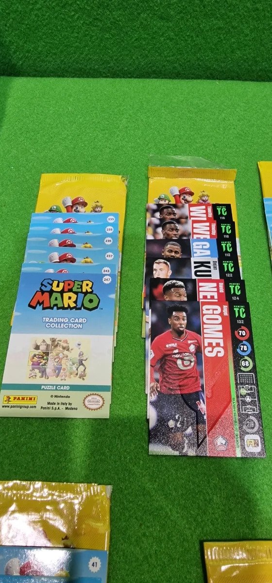 Panini Super Mario TC-Caja metálica con Bolsillos y Tarjetas