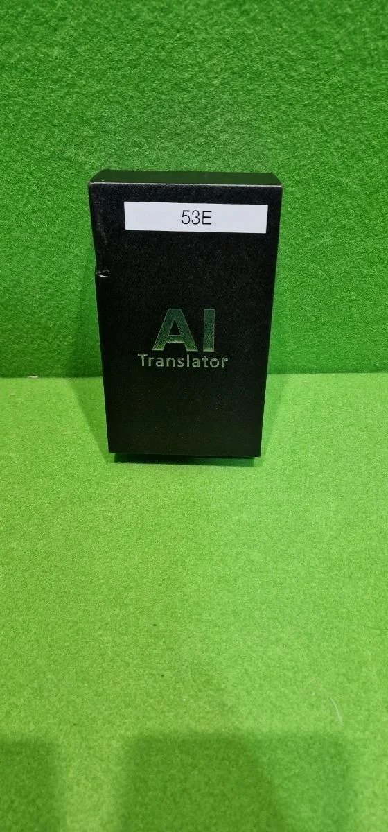 Birgus Traductor electrónico de Voz T8