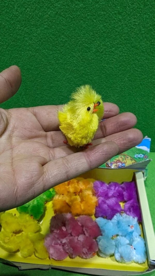 Pollitos de colores y ratoncitos