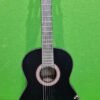 Guitarra Electroacústica Juan Miguel Navarrez