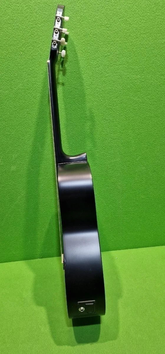 Guitarra Electroacústica Juan Miguel Navarrez