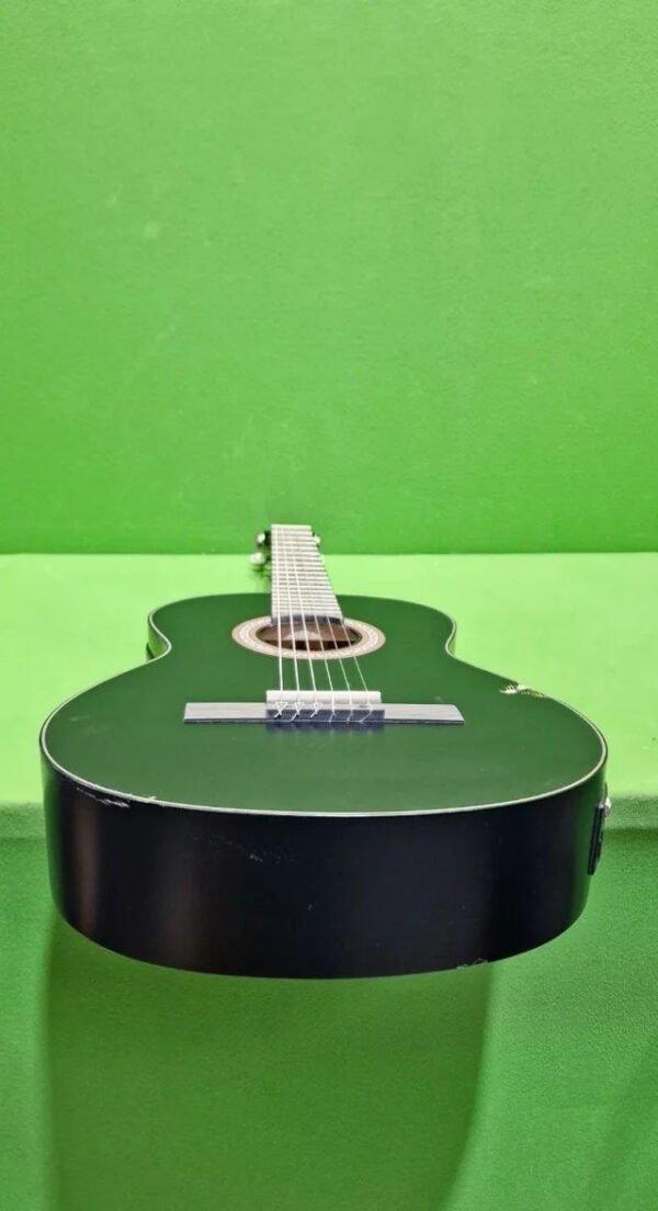 Guitarra Electroacústica Juan Miguel Navarrez