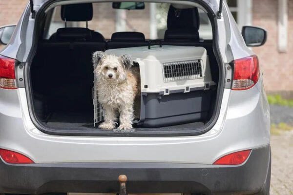 Karlie Nomad - Transportín Aviación, Gris, M, 68 x 51 x 47 cm