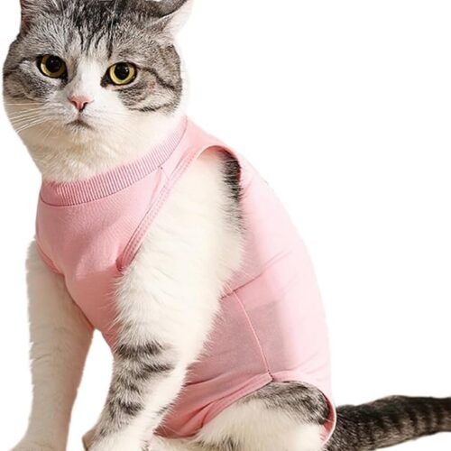 347M - Traje de recuperación Profesional para heridas Abdominales o Enfermedades de la Piel, Alternativo para Gatos y Perros, después de la cirugía, Ropa para el hogar（Rosa，L