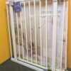 455AA - Barrera para escaleras y puertas Hauck Open N Stop