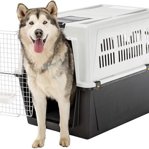 66M - Ferplast Transportín para Perros de Talla Grande Atlas 70 Professional, Comedero y Accesorios incluidos, Puerta de Acero plastificado, Rejillas de ventilación, 68,5 x 101 x h 75,5 cm Gris